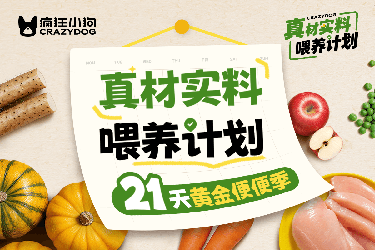 疯狂小狗「真材实料喂养计划｜21天黄金便便季」招募开启！
